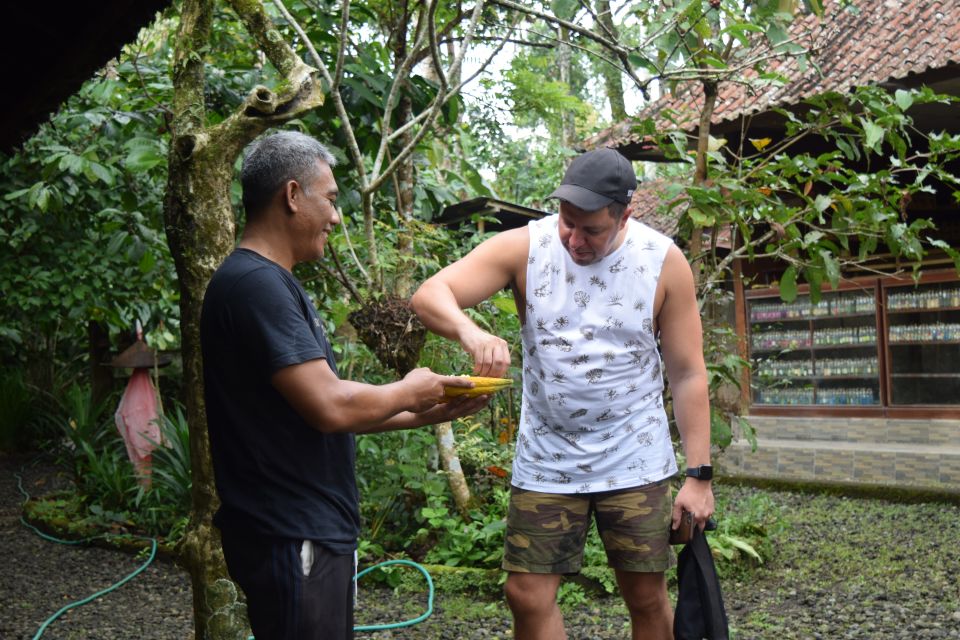 Ubud & Volcano Hot Springs Tours - Multilingual Live Tour Guides