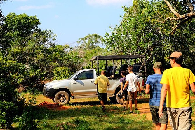 Udawalawa National Park & Orphanage Visit From Hambantota Port - Itinerary Details