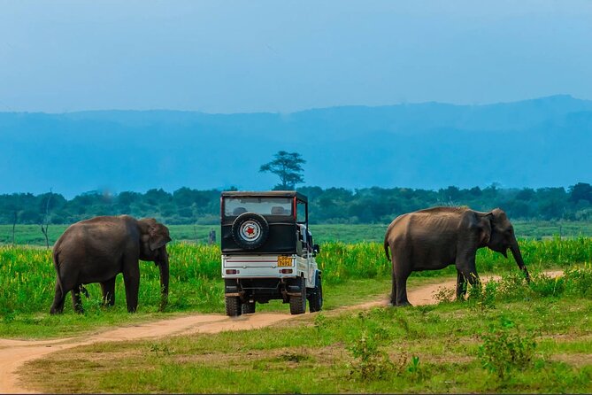 Udawalawe National Park Jeep Safari From Ella / Bandarawela - Tour Inclusions