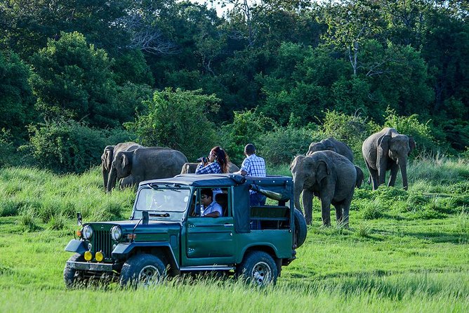 Udawalawe National Park Private Safari  - Hambantota - Booking Process Details