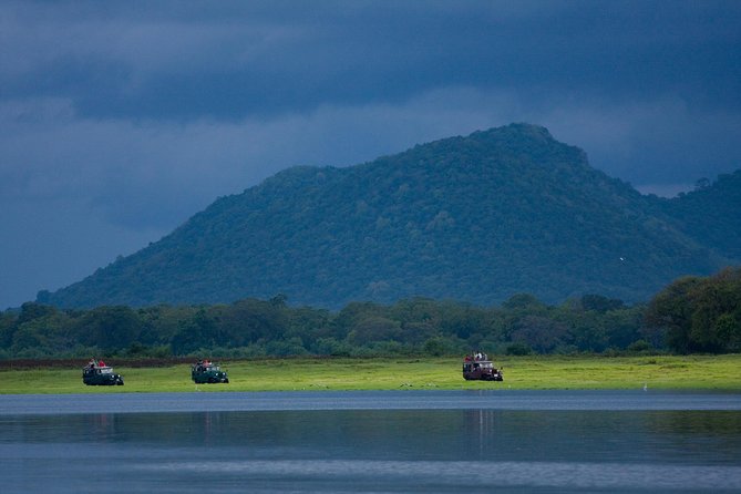 Udawalawe National Park Safari From Bentota - Traveler Reviews and Ratings