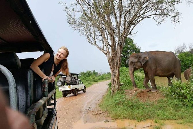 Udawalawe National Park Safari From Mirissa Galle Weligama - Booking and Price Details