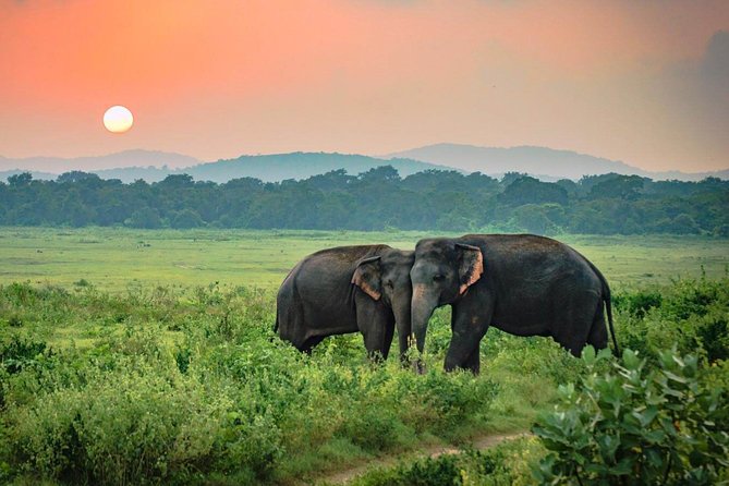 Udawalawe National Park Safari - Inclusions in the Safari Package