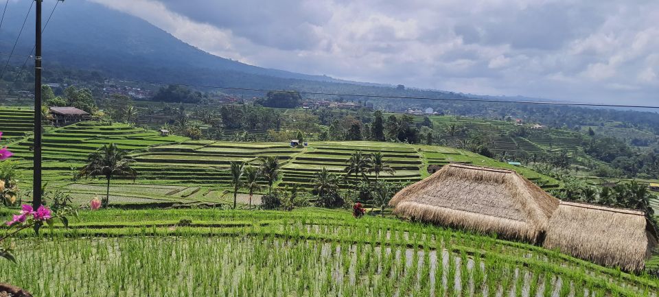 Ulundanu Beratan Temple, Jatiluwih Rice Terrace & Tanah Lot - Logistics and Practical Information