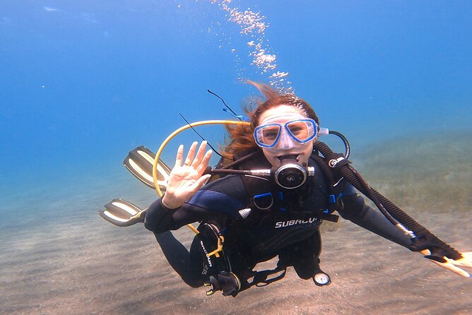 Underwater Sightseeing - Individual Dive Trip Under Tenerife - Pricing and Logistics Details