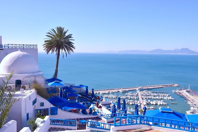 Unveiling the Beauty of Sidi Bou Said and Carthage Private Tour - Pricing and Booking