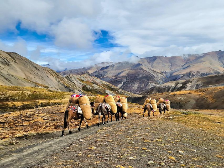 Upper Dolpo Trek - 24 Days - Experience Inclusions