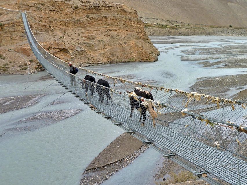 Upper Mustang: a Trek to Forbidden Kingdom - Experience Highlights