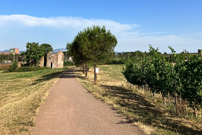 Urban Hike to the Aqueduct Park in Rome - Route Highlights and Landmarks