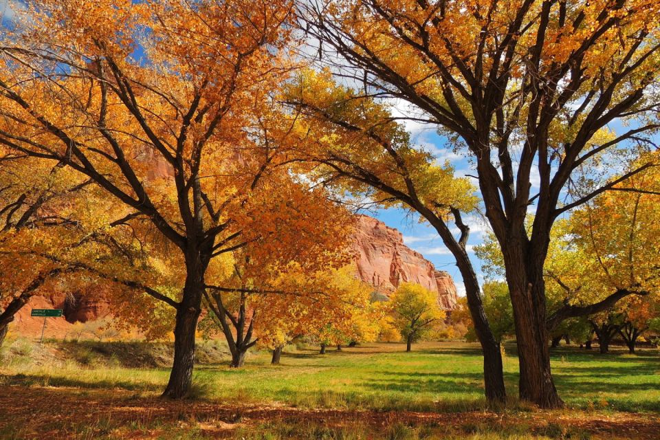 Utah: Capitol Reef National Park Self-Driving Audio Tour - Booking and Payment