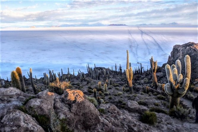 Uyuni Salt Flats (3 Days) English Speaking Guide - Optional Upgrades and Activities