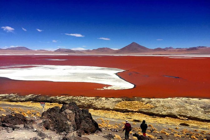 Uyuni Standard Tour - 3 Days - Pricing and Booking Information