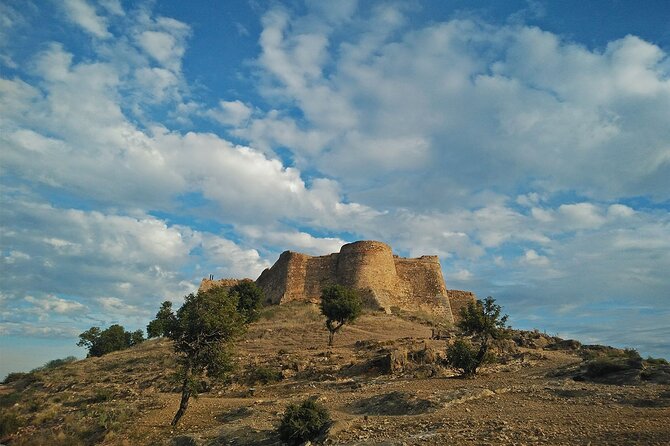 Valencia Jewish Heritage and Roman History Private Tour to Sagunto - Pickup and Drop-off Details