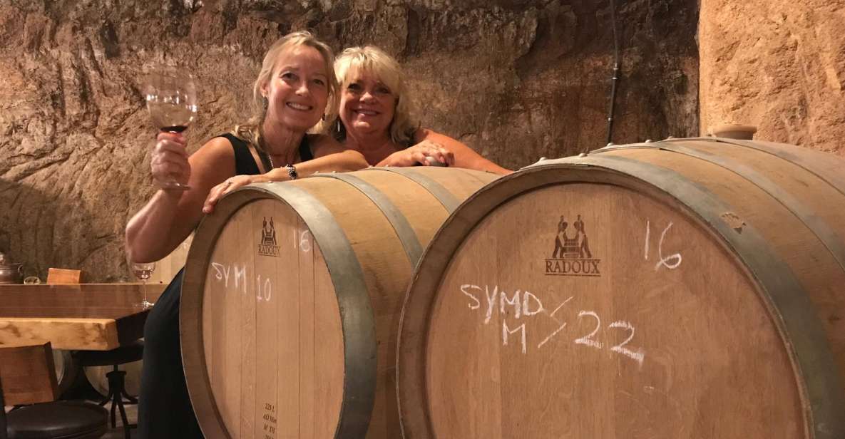 Valle De Guadalupe Wine Tasting Tour - Tour Experience