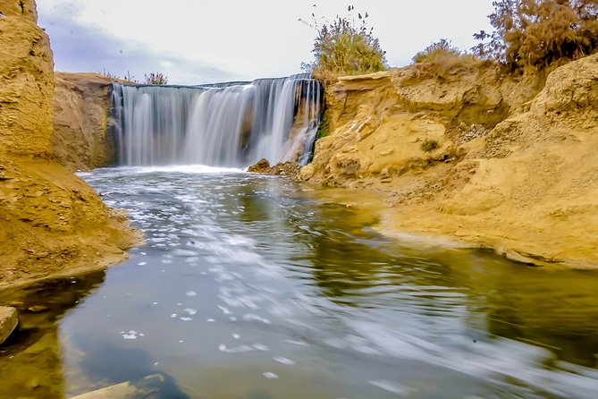 Valley of Whales and Wadi El Rayan Water Falls Day Tour From Cairo - Pricing and Inclusions