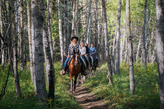 Valley Vista 1.5 Hour Horseback Trail Ride in Kananaskis - Diverse Terrains and Private Guided Experience