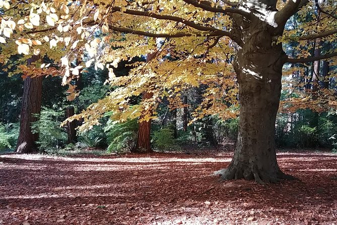 Vancouver City Highlights Explorer Private Tour - Pickup Locations