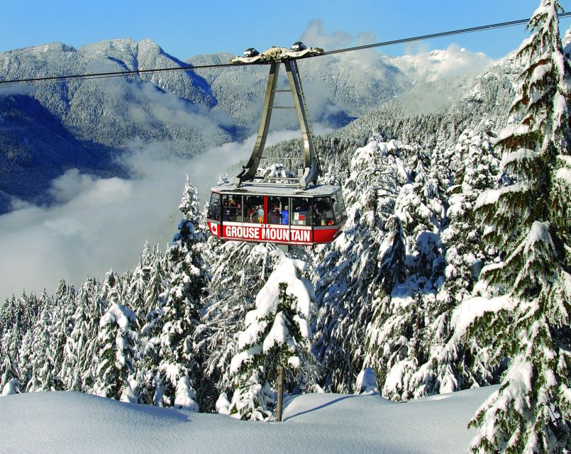 Vancouver: Grouse Mountain Admission Ticket - Experience Highlights