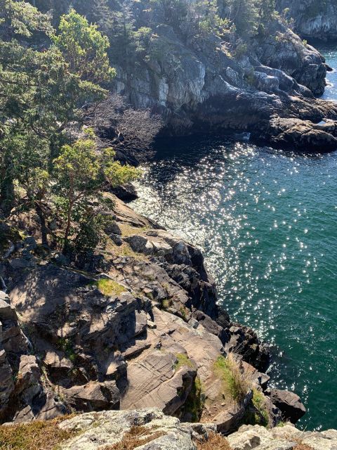 Vancouver: Lighthouse Park Hike - Hike Experience