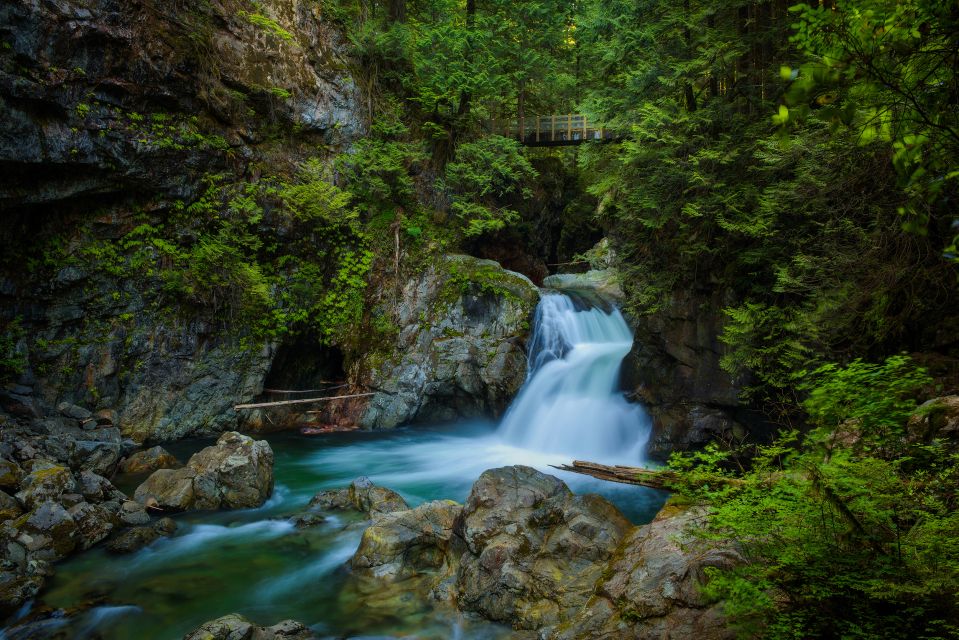 Vancouver: Lynn Valley Suspension Bridge & Nature Walk Tour - Tour Experience Highlights