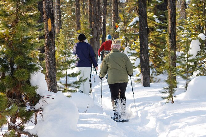 Vancouver: North Shore Mountains Small-Group Snowshoeing Tour - Customer Reviews