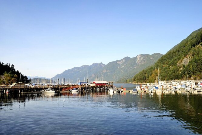 Vancouver: Pacific Northwest Nature Half-Day Small-Group Tour - Pricing Details