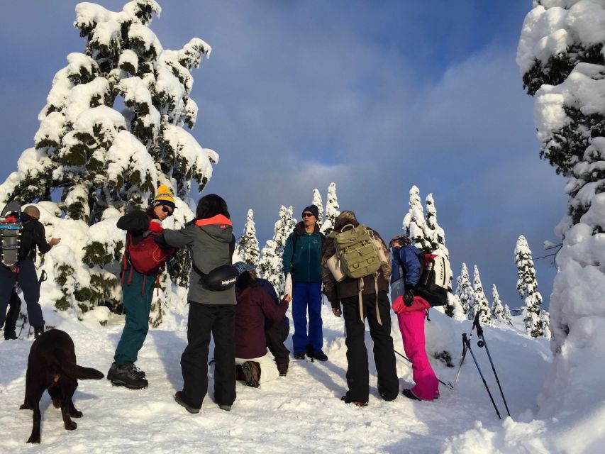 Vancouver: Panoramic View Snowshoeing Tour - Experience Highlights