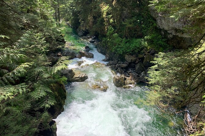 Vancouver Rainforest Hike With Waterfalls, Suspension Bridge, Old Growth Forest - Logistics and Meeting Points