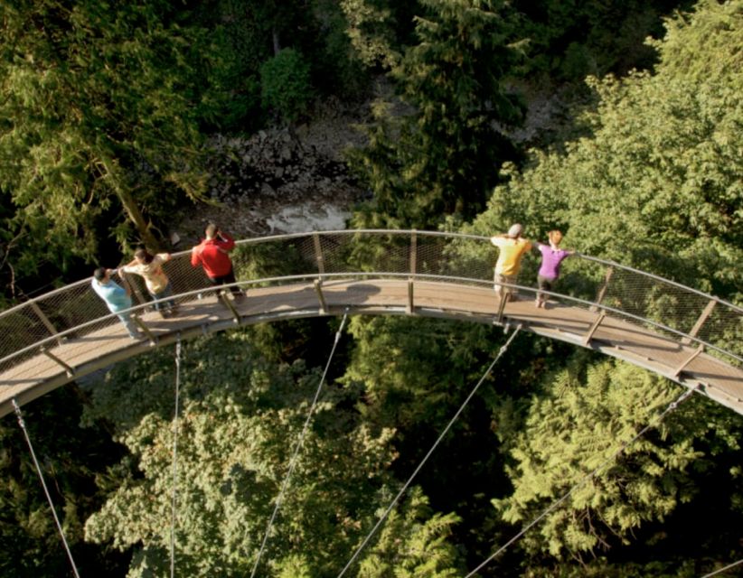 Vancouver: Small Group Tour W/Capilano & Grouse Mtn Lunch - Highlights
