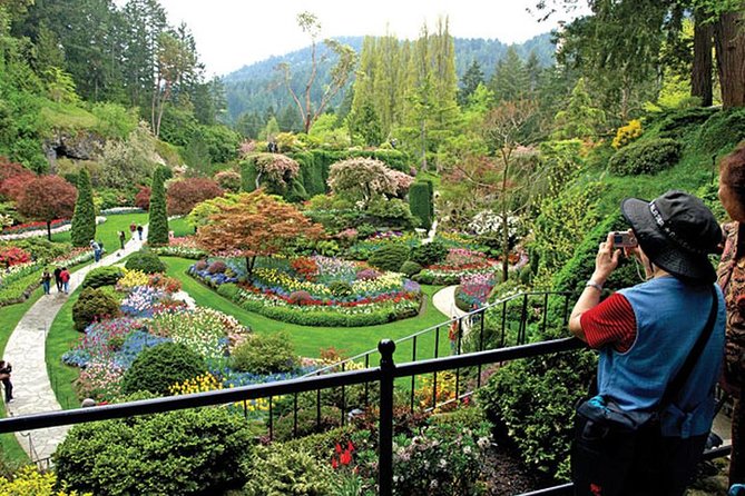 Vancouver-Victoria Tour Visit Craigdarroch Castle and Butchart Garden Private - Customer Reviews