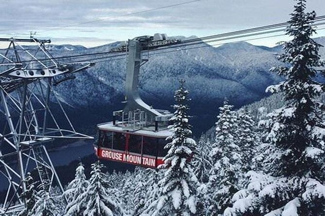 Vancouver Winter Fun Mountain {Grouse, Cypress, Seymour)Private - Visiting Grouse Mountain