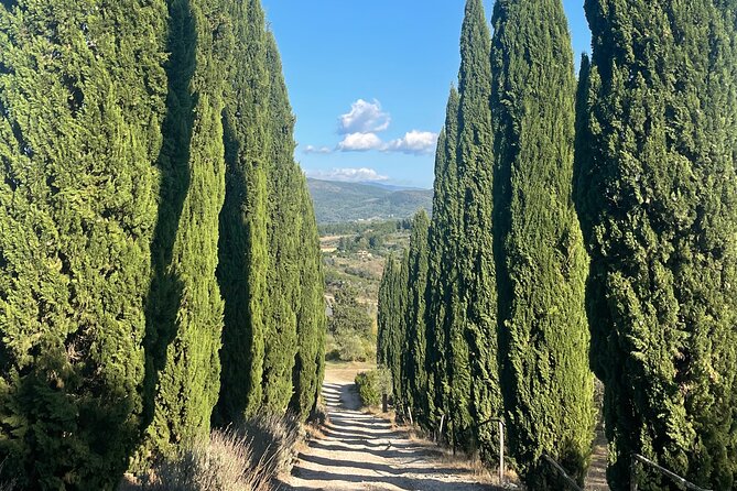 Vegetarian Cooking Class in the Florentine Hills 6 Guests Max - Booking Information