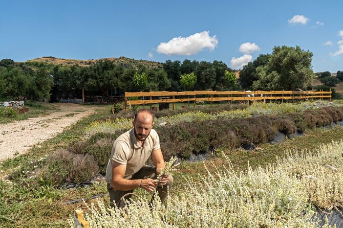 Venture Botanical Garden in Cretan With Olive Oil Tasting & Menus - Olive Oil Tasting Experience