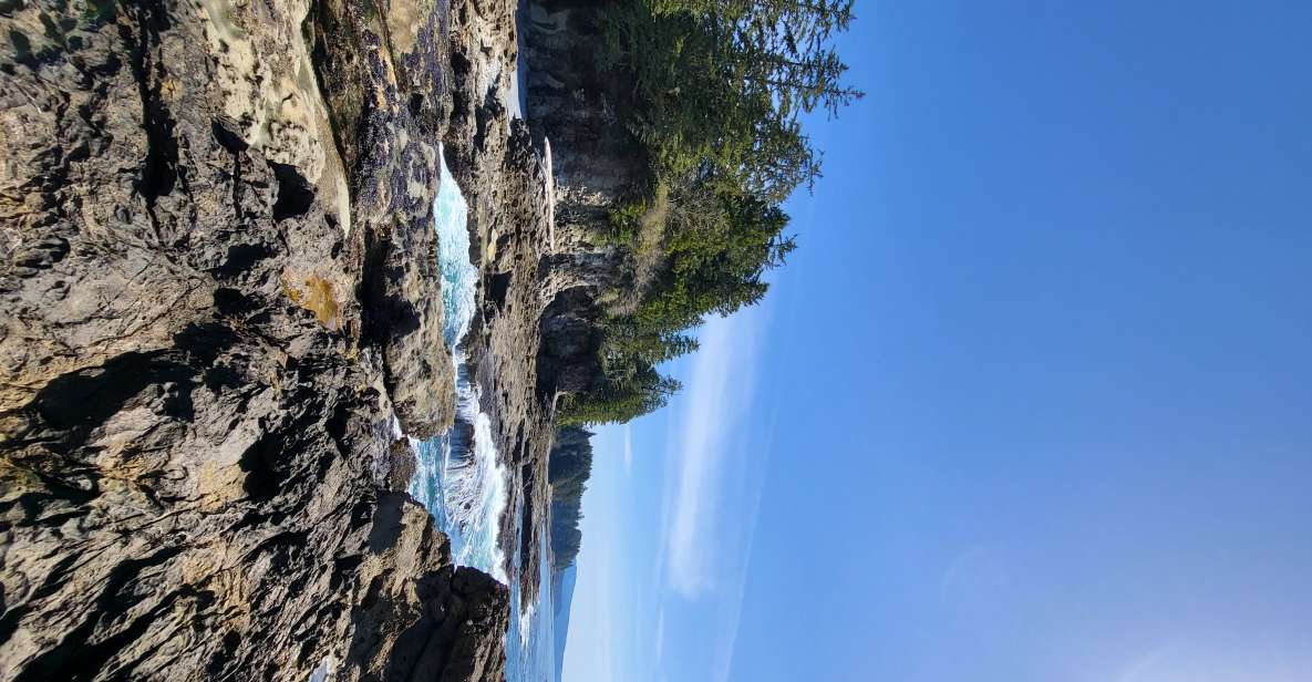 Victoria or Nanaimo; West Coast Big Tree Coastal Adventure - Cultural Insights