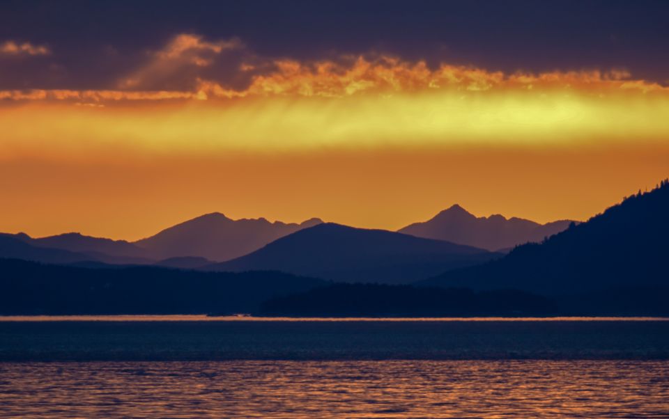 Victoria: Sunset Whale Watching Tour on Semi-Covered Boat - Experience Highlights