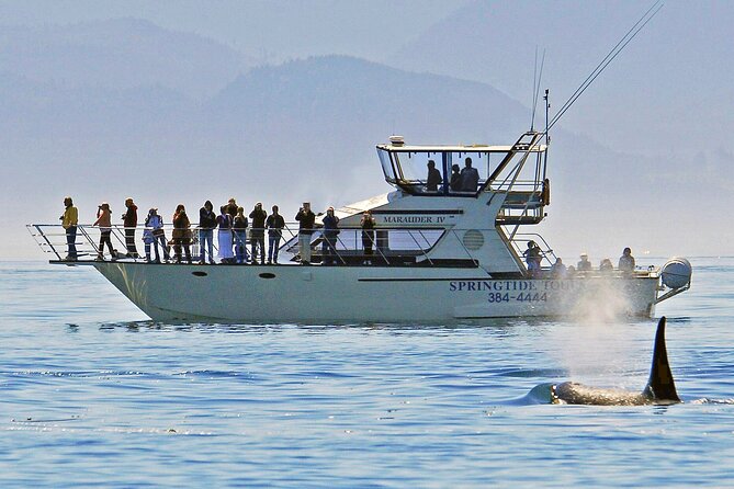 Victoria Whale Watch Tour - Meeting Point Details