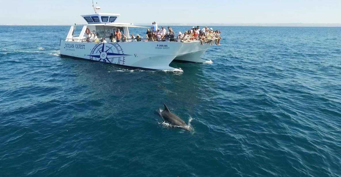 Vilamoura: Boat Tour Dolphin Quest - Experience Highlights