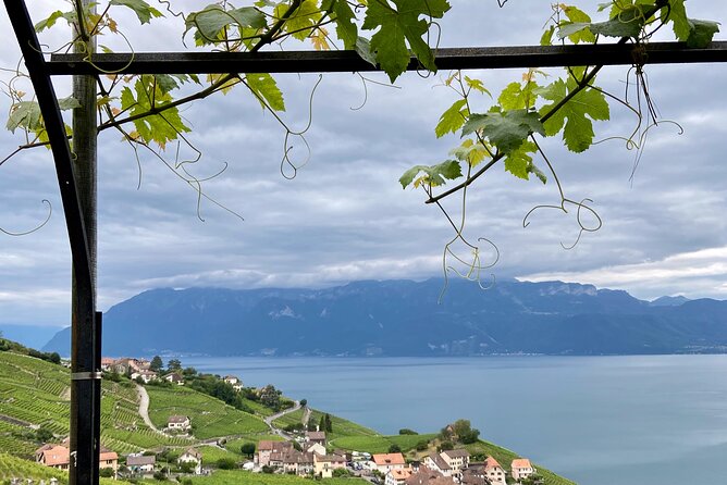 Vine Stories: Lavaux & Lutry Wine Walk - Meeting and Pickup Details