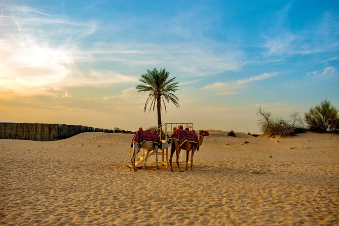 VIP Dubai Desert Safari Camel Ride, Sand Ski, Live BBQ Dinner - Customer Reviews