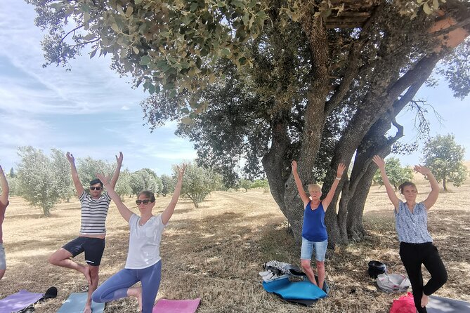 Visit a Lavender Fields Farm and Enjoy a Yoga Class in Provence - Farm Tour Details