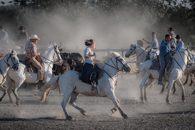 Visit and Discovery in the Heart of the Camargue - Event Details