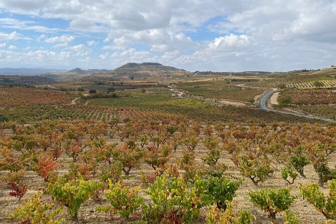 Visit Marques De Riscal & Picnic in Vineyard From Bilbao - Customer Support and Assistance