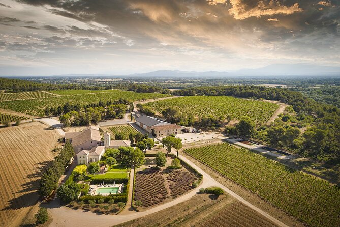 Visit the Cellars of Château Gigognan With Wine Tasting - Vineyard Exploration and Scenic Views