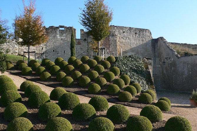 Visit to the Castles of the Loire Valley - Local Cuisine and Dining Experiences