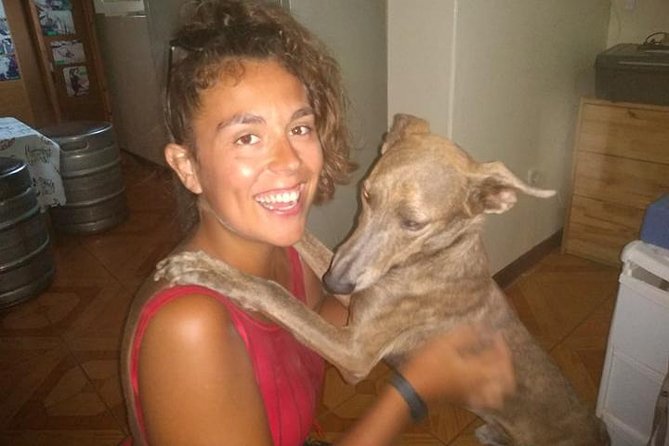 Volunteering With Animals in Sao Vicente! - Interaction With Animals