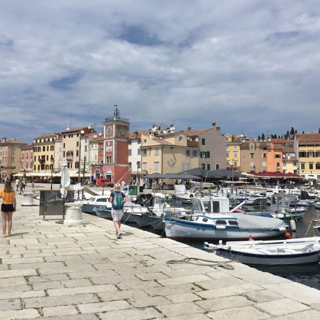 Vrsar: Lim Fjord - Rovinj Fish Picnic - Experience Highlights