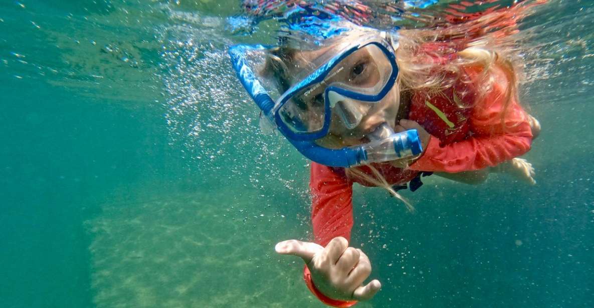 Waikiki: Honolulu Beginner Snorkeling Tour - Experience Highlights