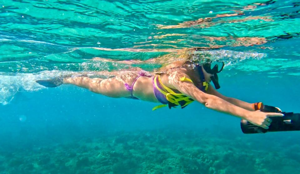 Waikiki: Monk Seal Bay Dolphin and Turtle Jet Snorkel Tour - Experience Highlights