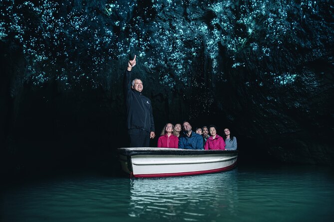 Waitomo Glowworm Caves -Shore Excursions & Private Tour -Auckland - Itinerary Highlights