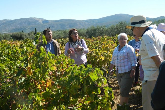 Walk at the Paths of Olive Groves and Vineyards in Monemvasia - Policies